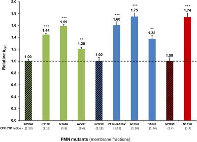 The Role of the FMN-Domain of Human Cytochrome P450 Oxidoreductase in Its Promiscuous Interactions With Structurally Diverse Redox Partners